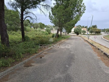 Terreno para Venda em Constancia