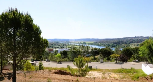 Terreno para Venda em Constancia