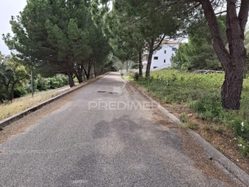 Terreno para Venda em Constancia