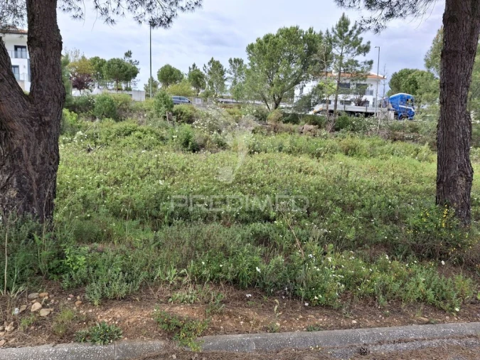 Terreno para Venda em Constancia Foto 5