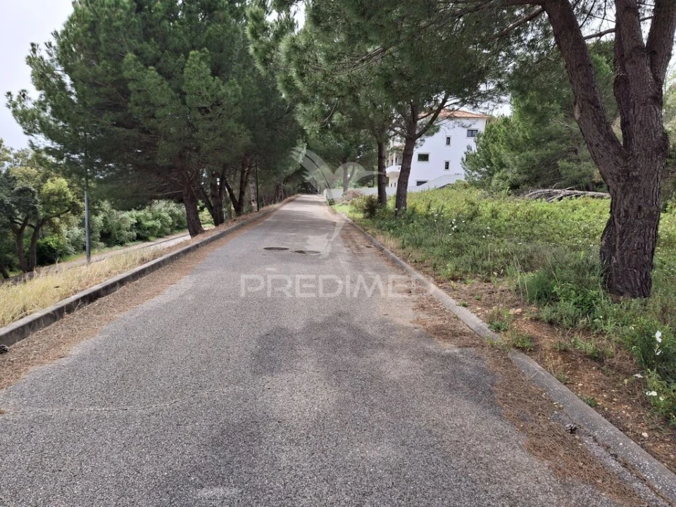 Terreno para Venda em Constancia Foto 6