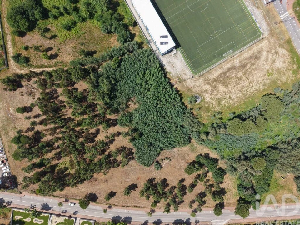 Terreno para Venda em Currelos, Papízios e Sobral Foto 4