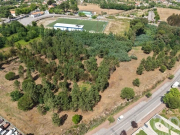 Terreno para Venda em Currelos, Papízios e Sobral