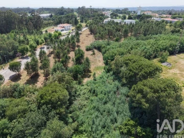 Terreno para Venda em Currelos, Papízios e Sobral