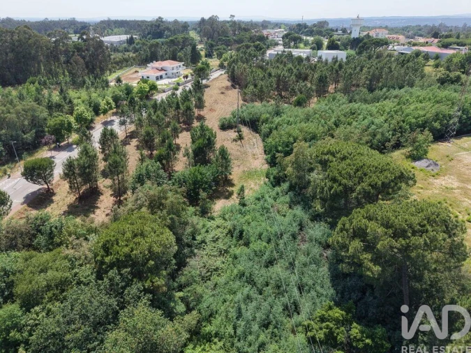 Terreno para Venda em Currelos, Papízios e Sobral Foto 7