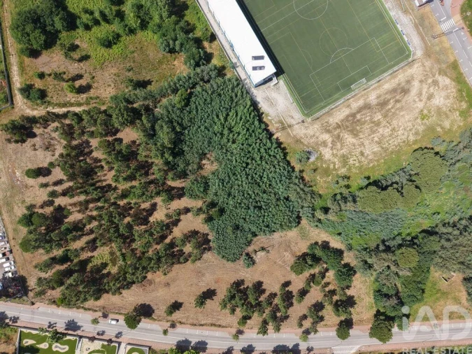 Terreno para Venda em Currelos, Papízios e Sobral Foto 4
