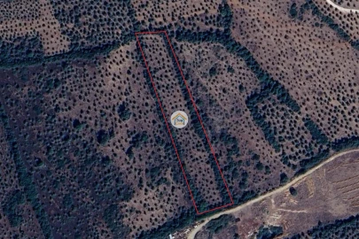 Terreno para Venda em Borba (Matriz)