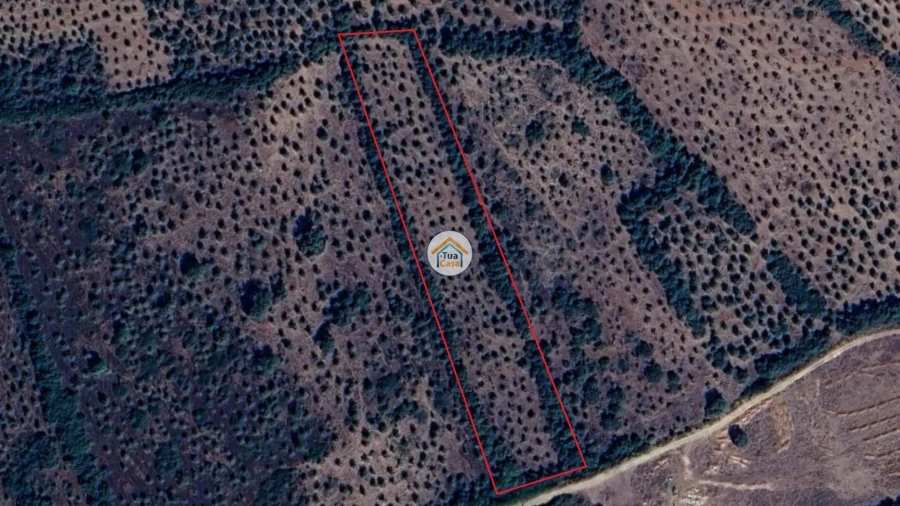 Terreno para Venda em Borba (Matriz)
