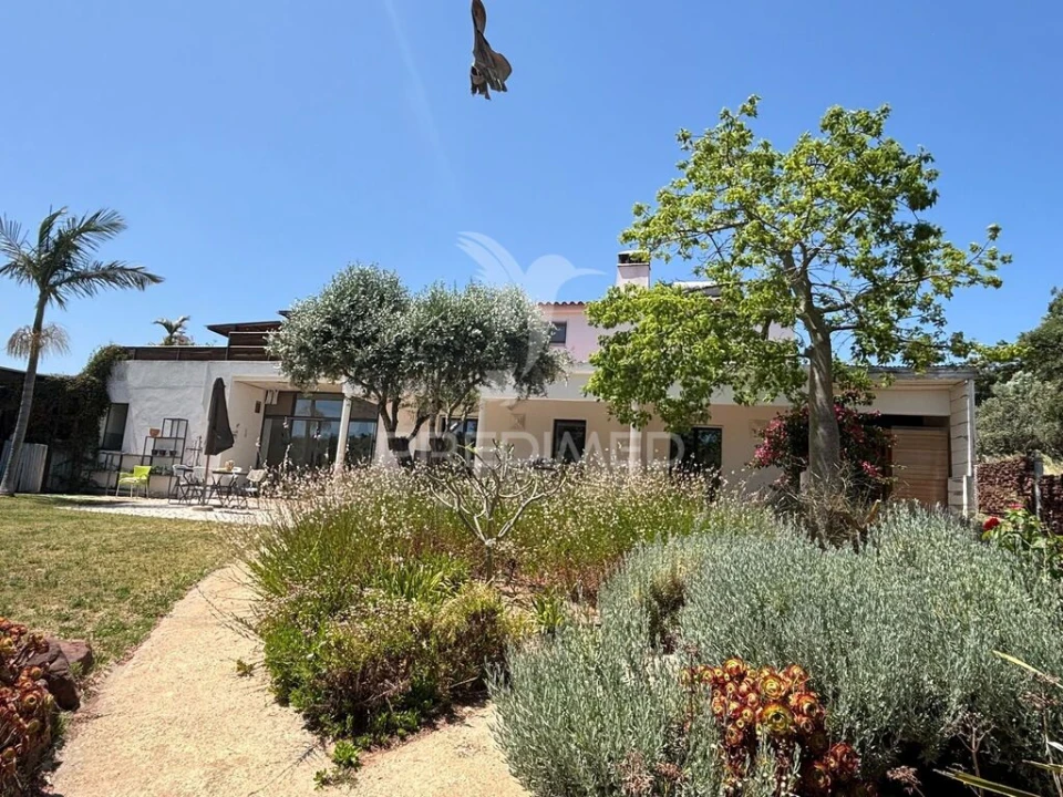 Quinta T8 para Venda em São Bartolomeu de Messines Foto 5