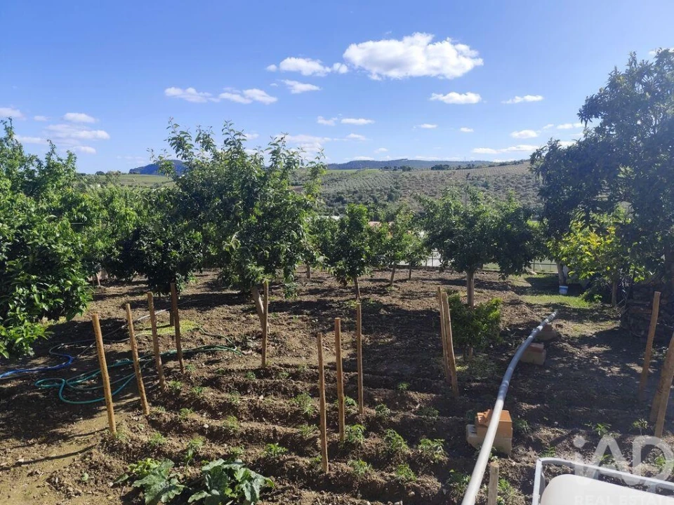 Moradia T4 para Venda em Freixo de Espada a Cinta e Mazouco Foto 27