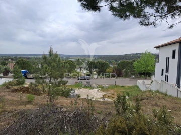 Terreno para Venda em Constancia