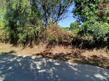 Terreno para Venda em Santa Maria e São Miguel, São Martinho, São Pedro Penaferrim