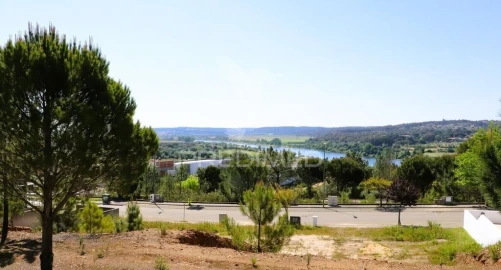 Terreno para Venda em Constancia