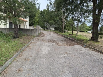 Terreno para Venda em Constancia