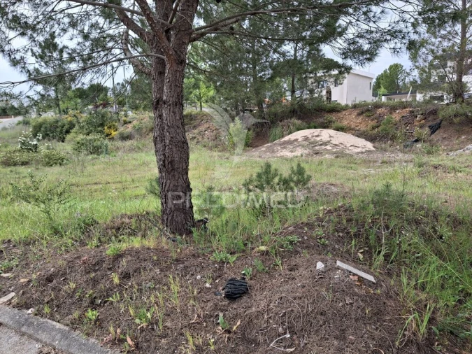 Terreno para Venda em Constancia Foto 8