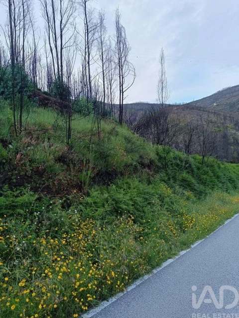 Moradia para Venda em Pomares