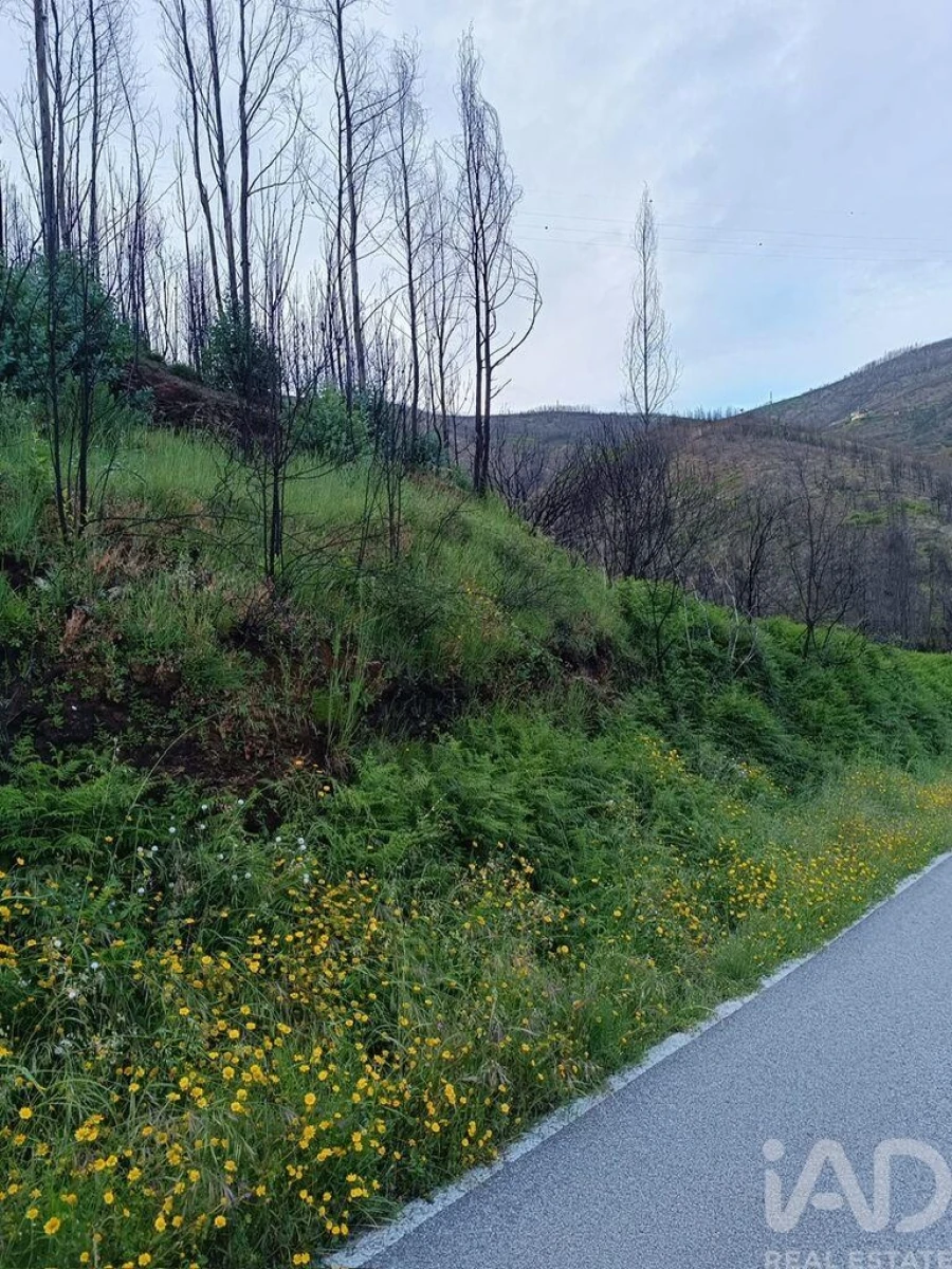 Moradia para Venda em Pomares Foto 6