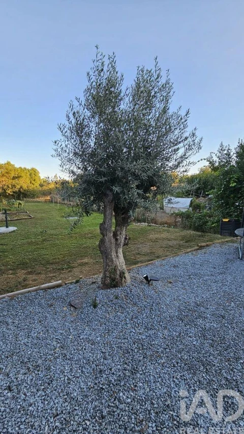 Quinta T2 para Venda em Ciborro