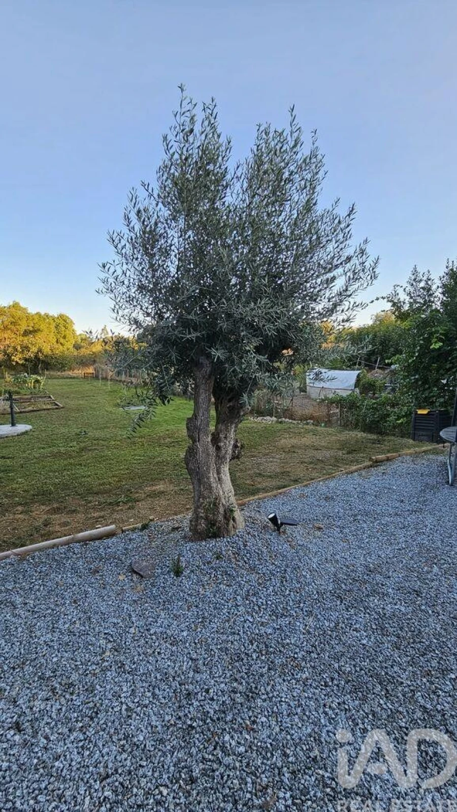 Quinta T2 para Venda em Ciborro Foto 37