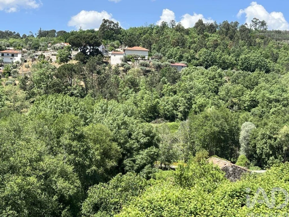 Quinta para Venda em Trancozelos Foto 24