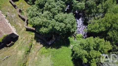 Quinta para Venda em Trancozelos