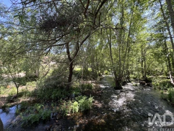 Quinta para Venda em Trancozelos
