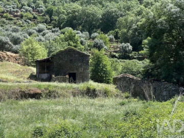 Quinta para Venda em Trancozelos