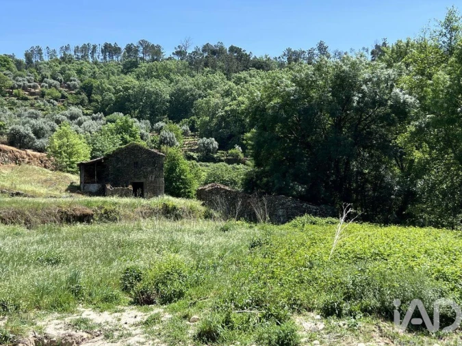 Quinta para Venda em Trancozelos Foto 16