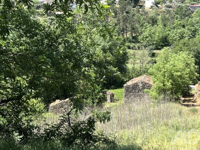 Quinta para Venda em Trancozelos Foto 23