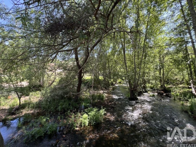 Quinta para Venda em Trancozelos Foto 18