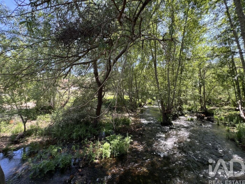 Quinta para Venda em Trancozelos Foto 18