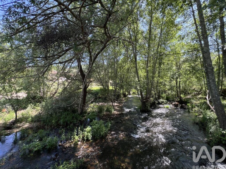 Quinta para Venda em Trancozelos Foto 20