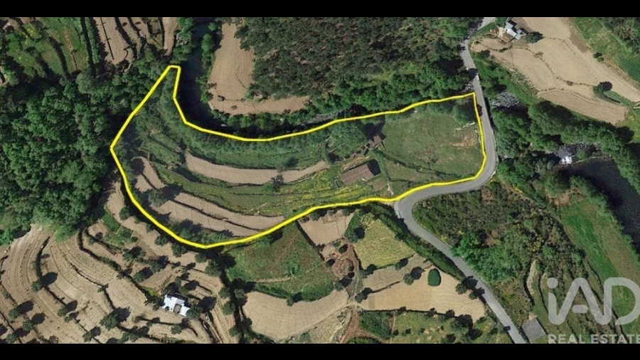 Quinta para Venda em Trancozelos
