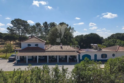 Quinta T9 para Venda em São Martinho