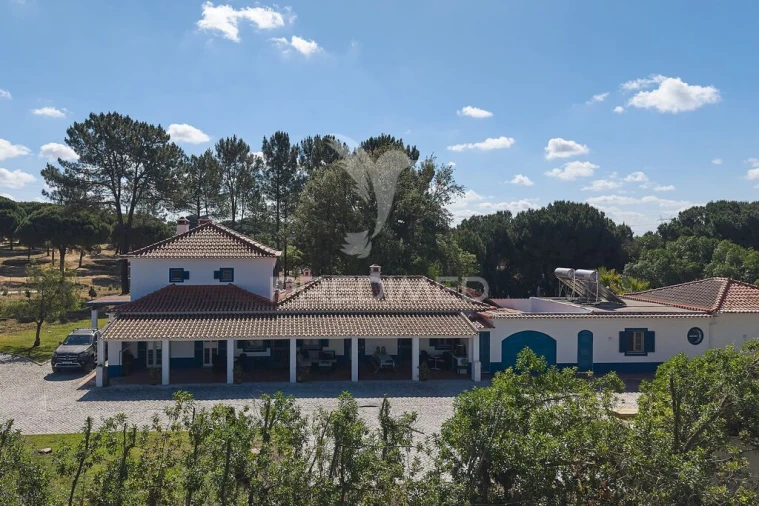 Quinta T9 para Venda em São Martinho Foto 3