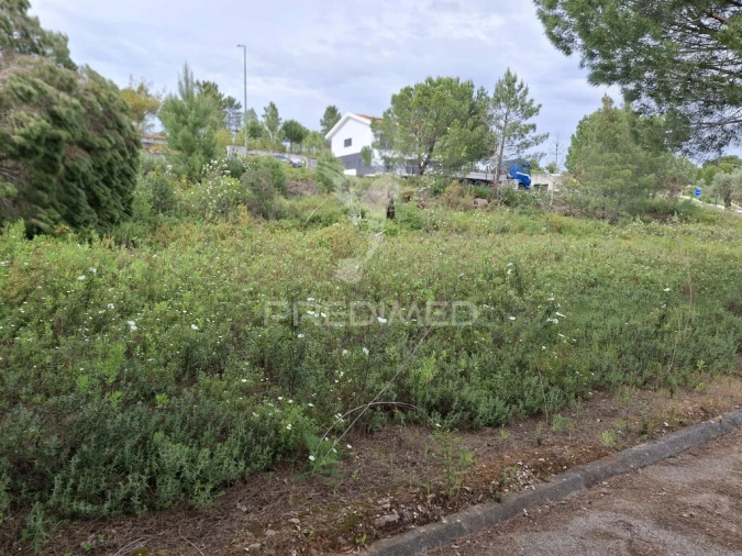 Terreno para Venda em Constancia Foto 8