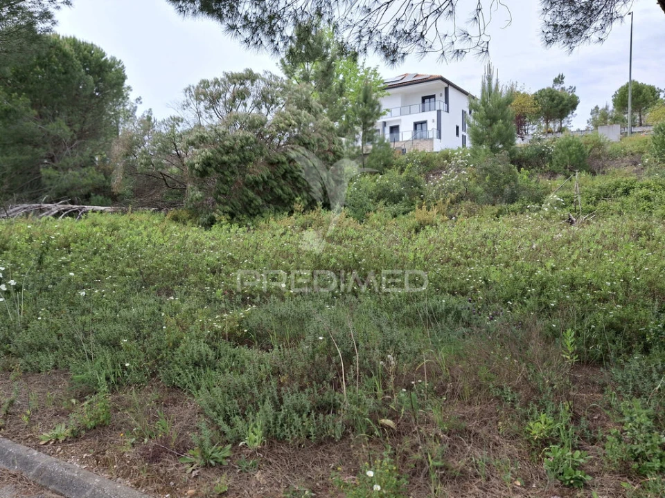 Terreno para Venda em Constancia Foto 7