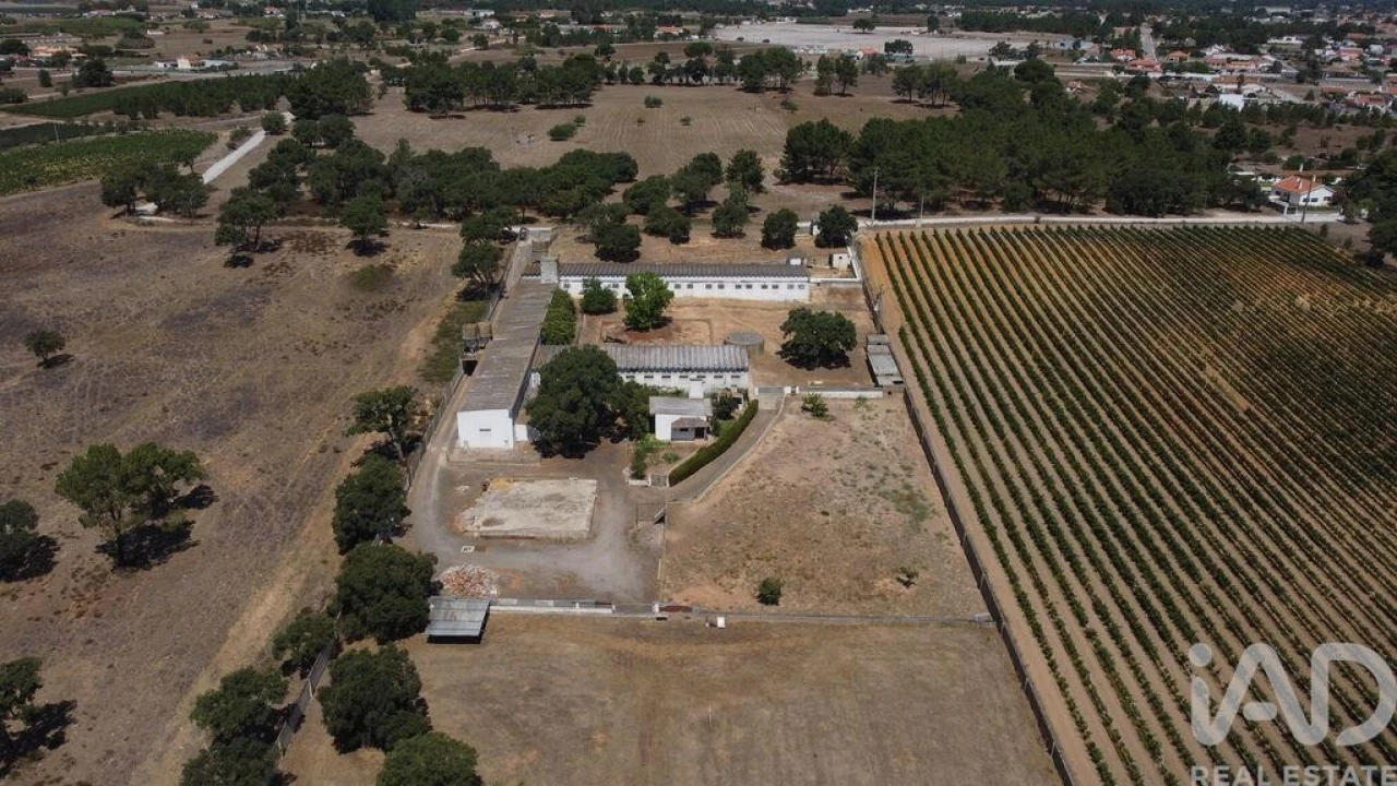 Terreno para Venda em Quinta do Anjo Foto 11