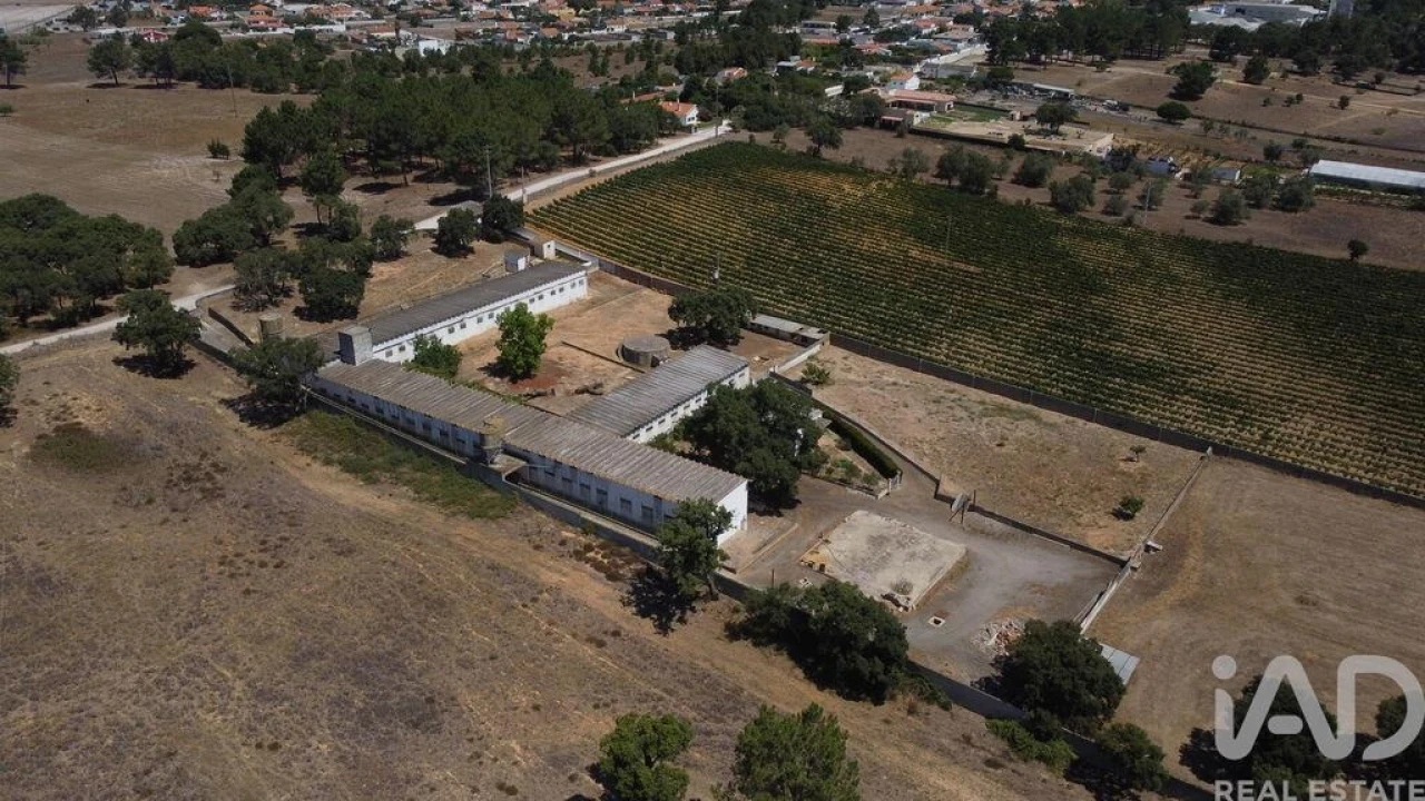 Terreno para Venda em Quinta do Anjo Foto 7
