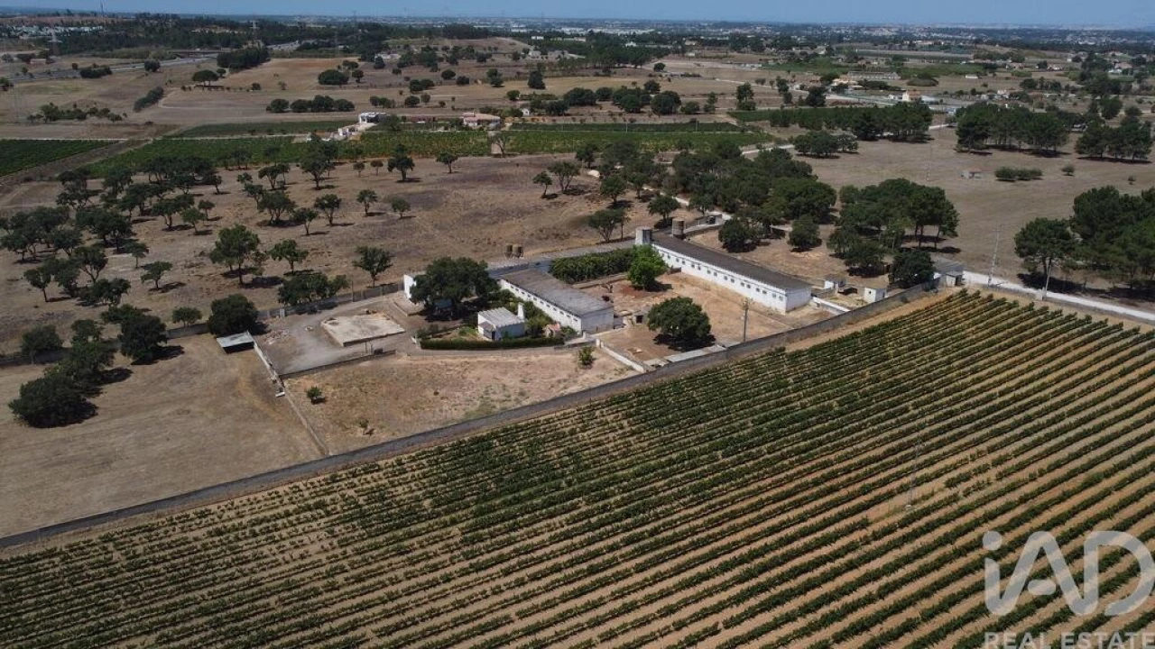 Terreno para Venda em Quinta do Anjo Foto 12