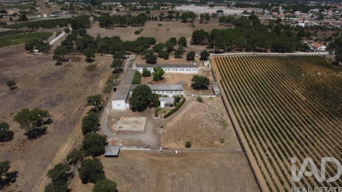 Terreno para Venda em Quinta do Anjo