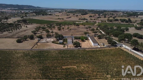 Terreno para Venda em Quinta do Anjo