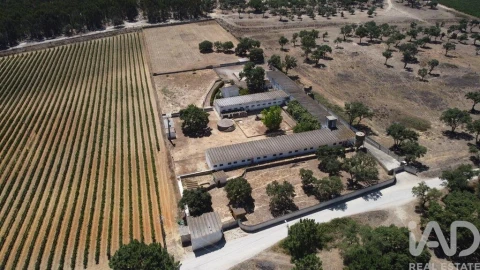 Terreno para Venda em Quinta do Anjo