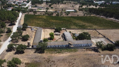 Terreno para Venda em Quinta do Anjo