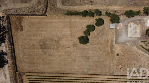Terreno para Venda em Quinta do Anjo