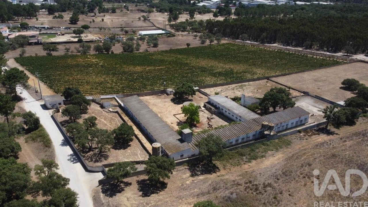 Terreno para Venda em Quinta do Anjo Foto 9