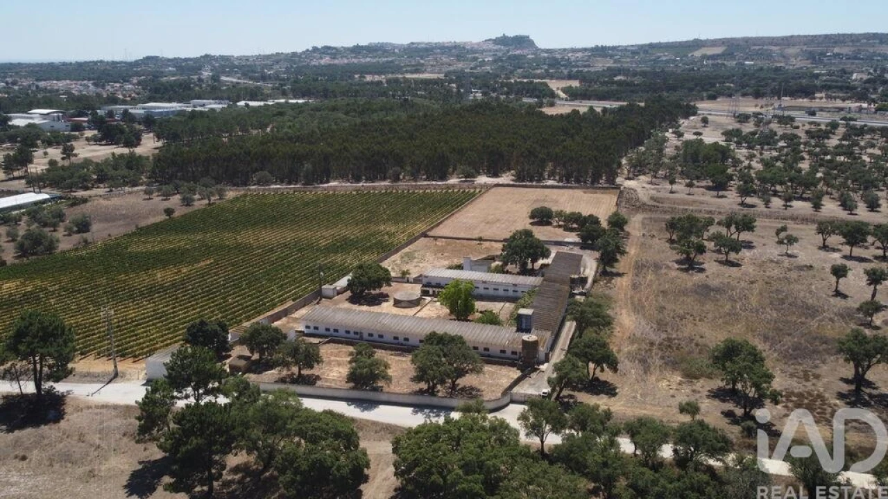 Terreno para Venda em Quinta do Anjo Foto 5