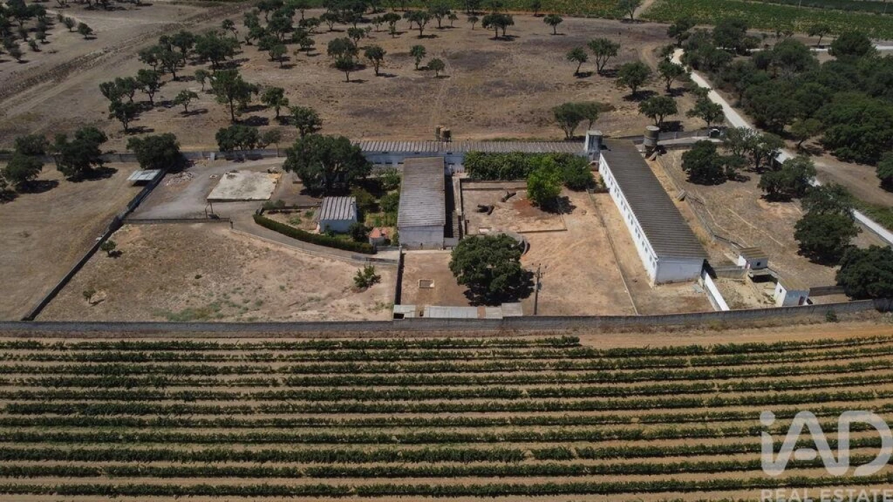 Terreno para Venda em Quinta do Anjo Foto 14