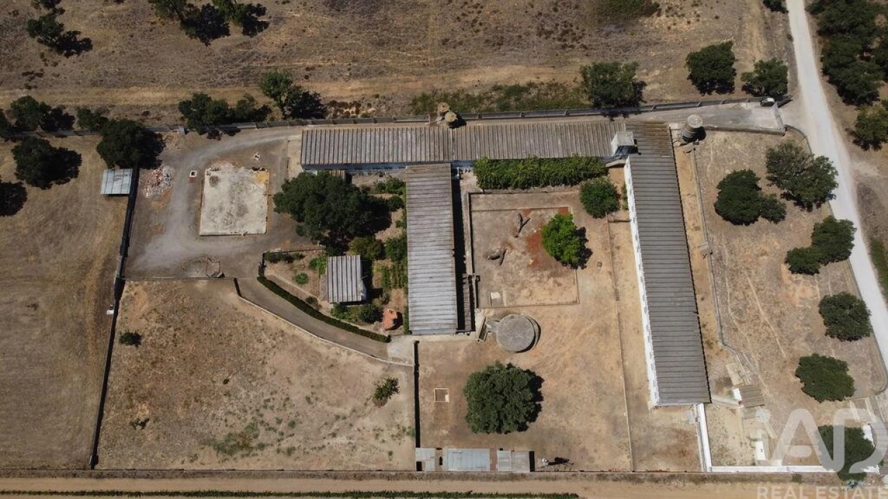 Terreno para Venda em Quinta do Anjo Foto 2