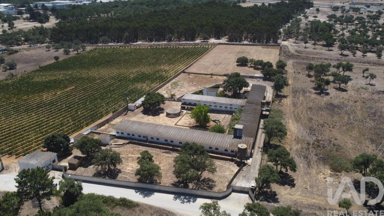 Terreno para Venda em Quinta do Anjo Foto 10